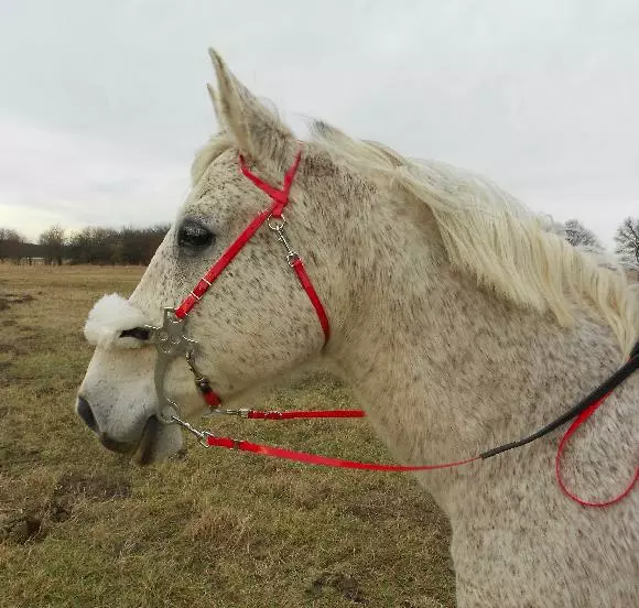 Uzdečka Hackamore Biothane