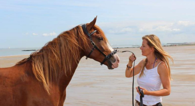 Obnosková uzdečka F.R.A. Wendy