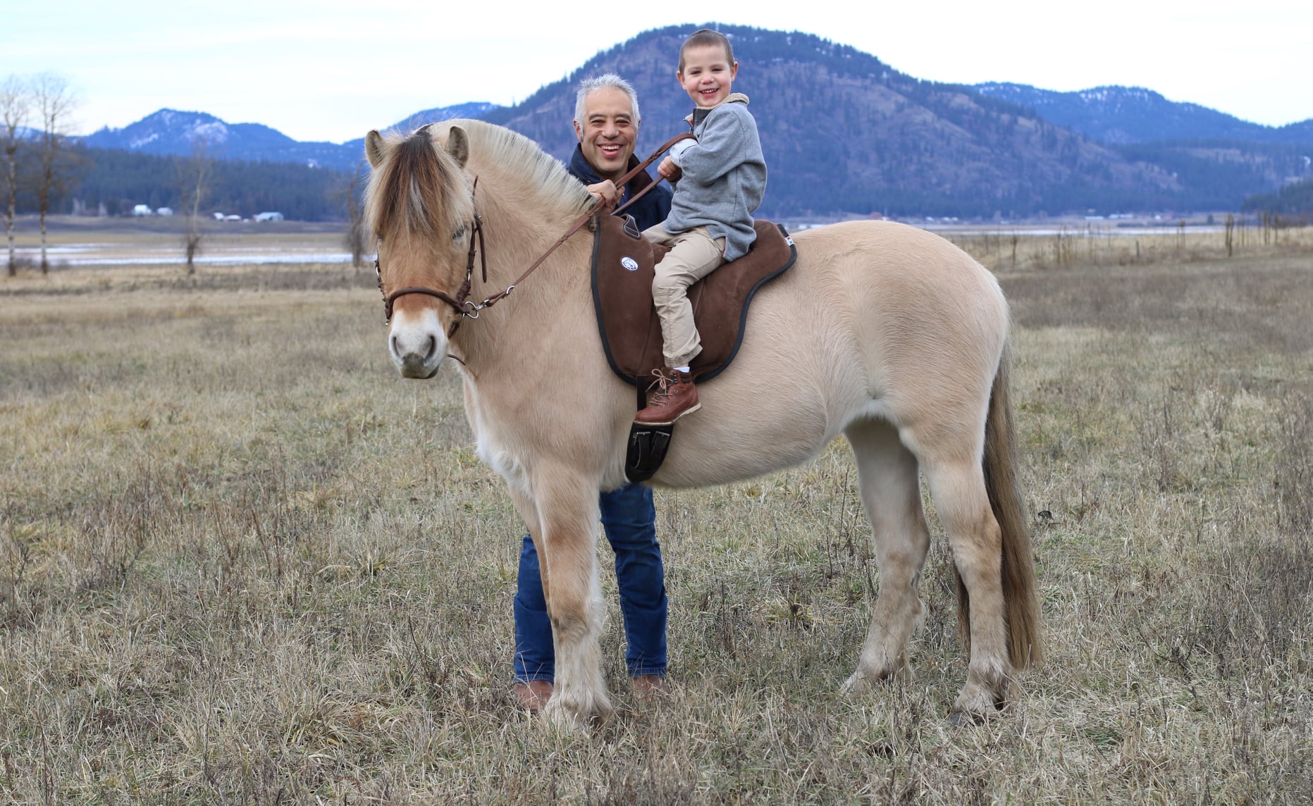 Jezdecký pad Brockamp® včetně podbřišníku