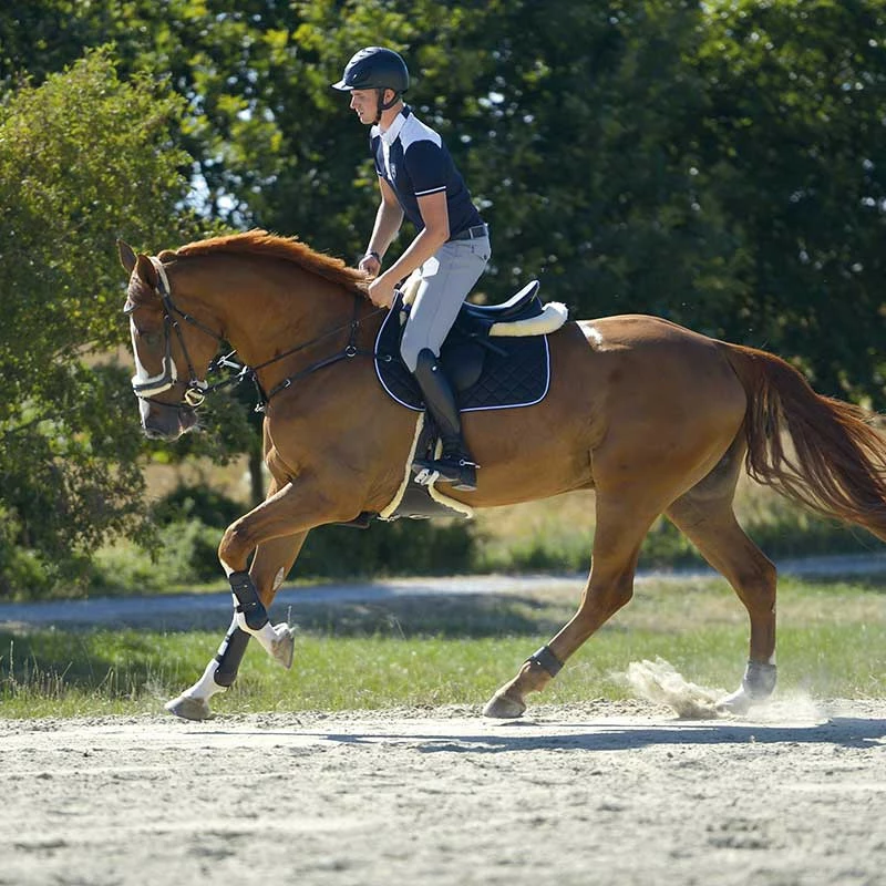 Jezdecké boty Kavalkade Maximus