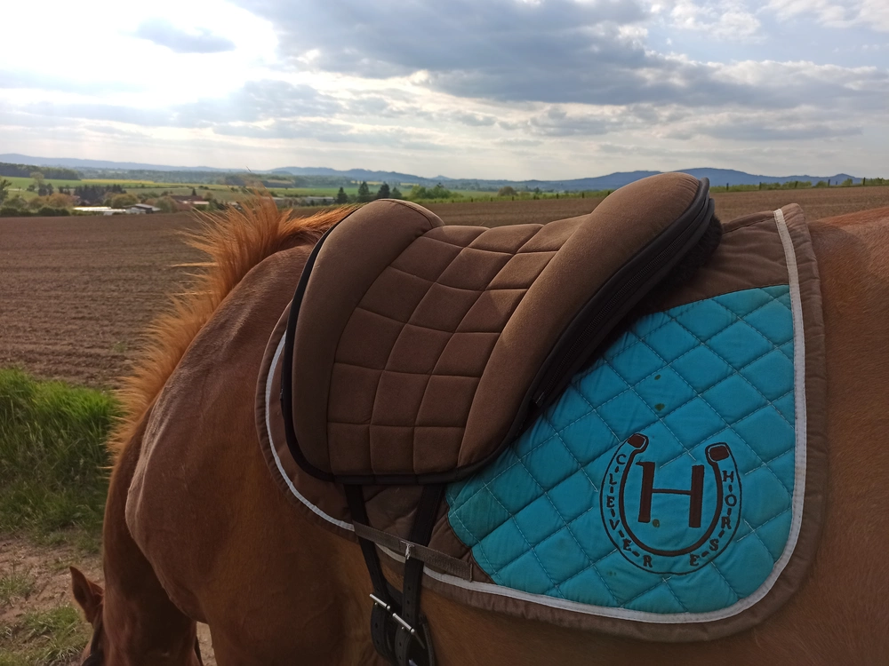 PŮJČOVNA Pad Grandeur Alcantara ZKUŠEBNÍ