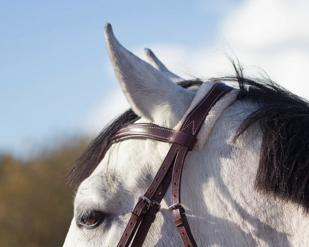 Anatomická uzdečka Ontario s beránkem