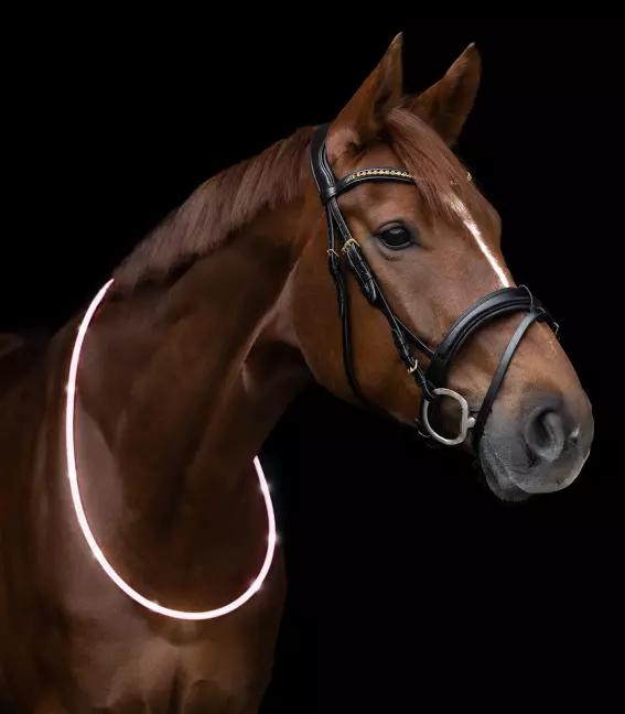 Svítící LED nákrčník