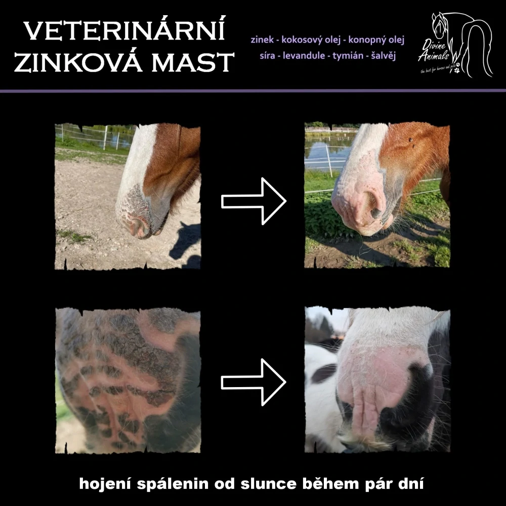 Veterinární zinková mast Divine animals 250ml 