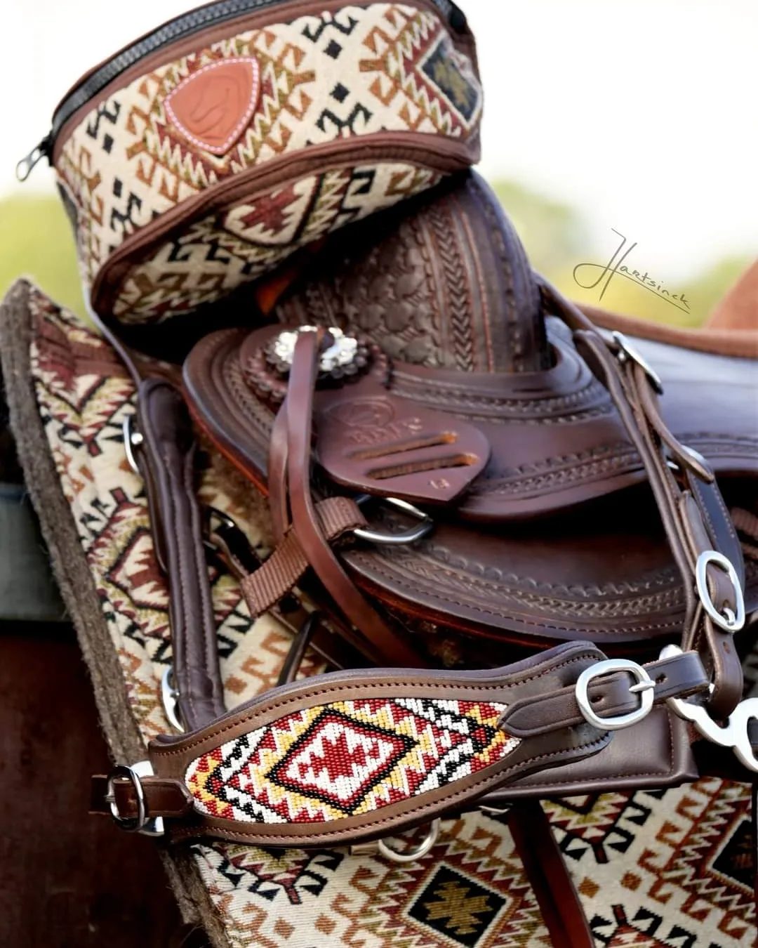 Hackamore uzdečka Edix Brightstar