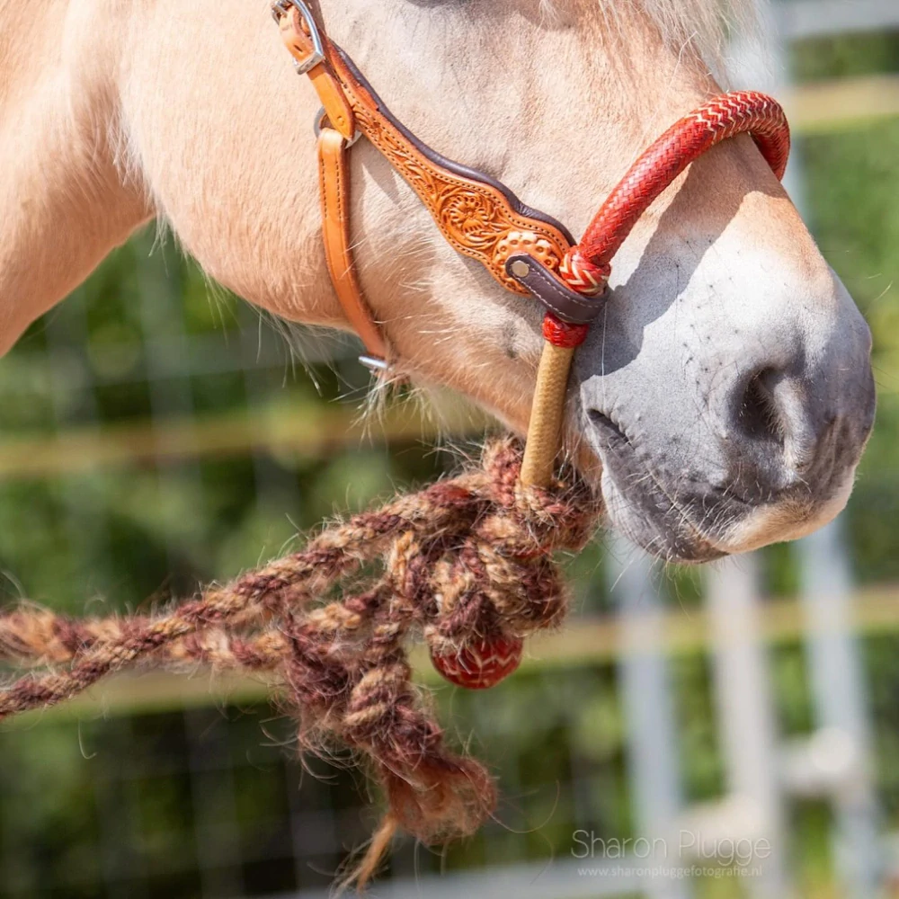 Uzdečka Edix Rose na hackamore, bosal či udidlo