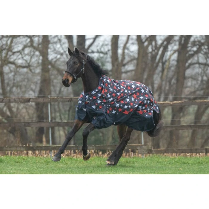 Výběhová deka Norwich, zvýšený krk, 100g