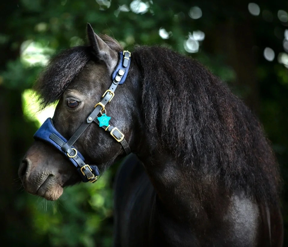 Equimero uzdečka Equitrense® Vario