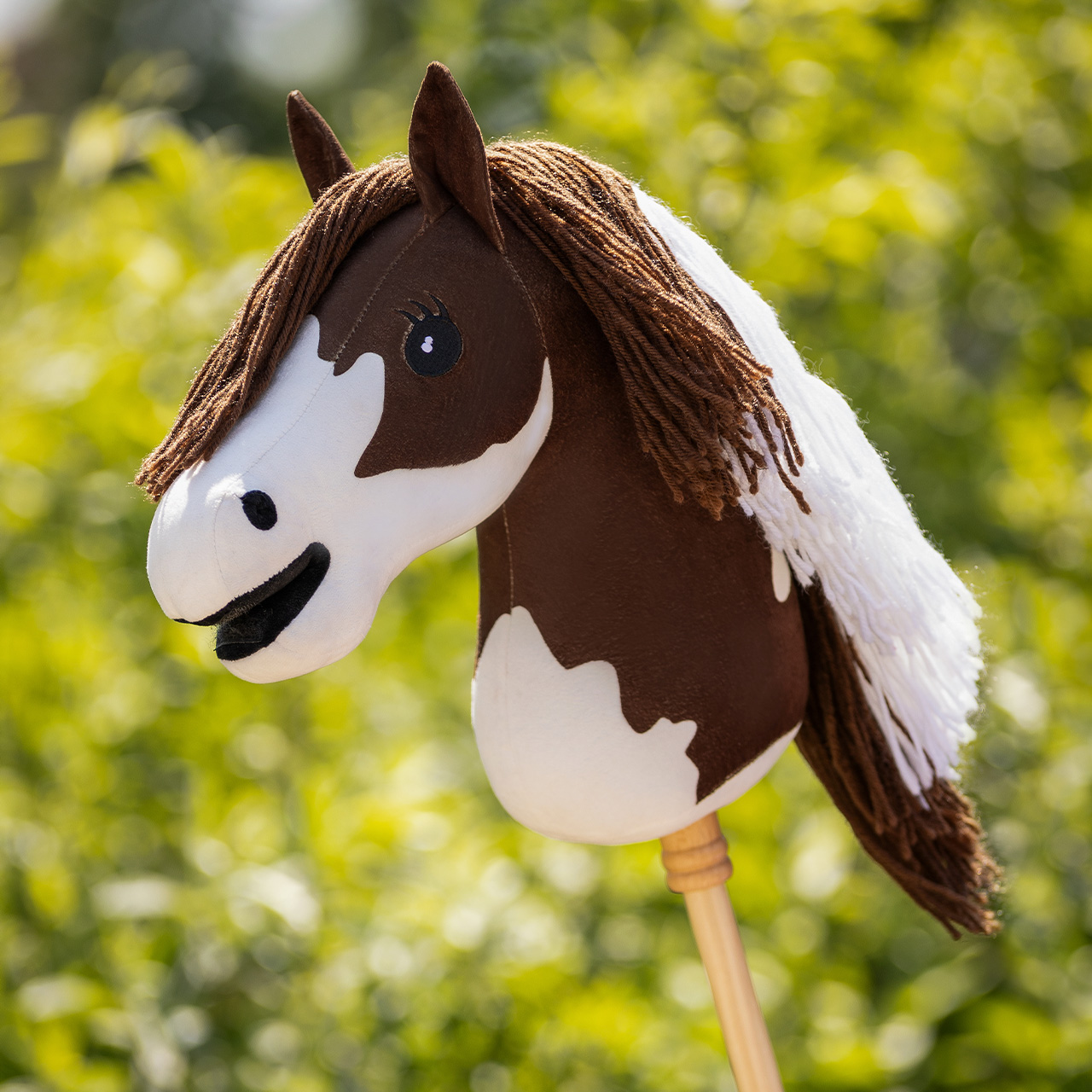 Hobby koník QHP