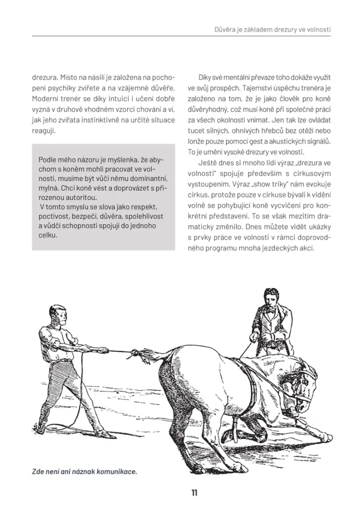Drezura ve volnosti a cirkusové lekce