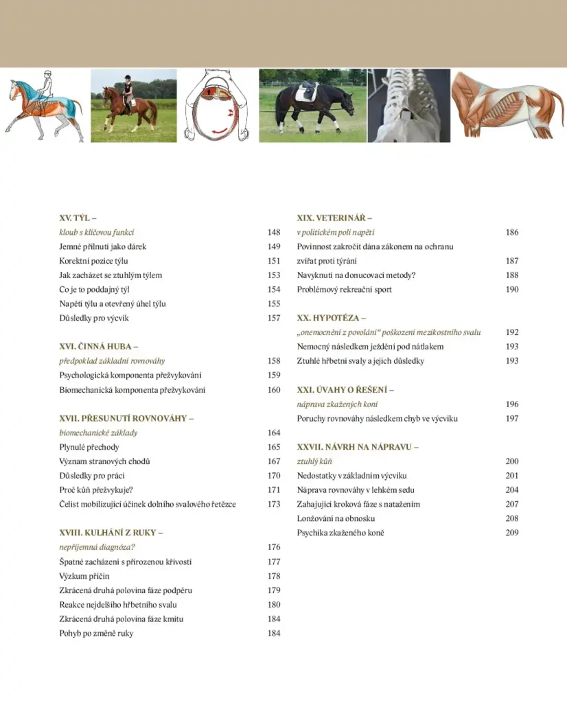 Balanceakt Jak jezdit na koních, aby zůstali zdraví