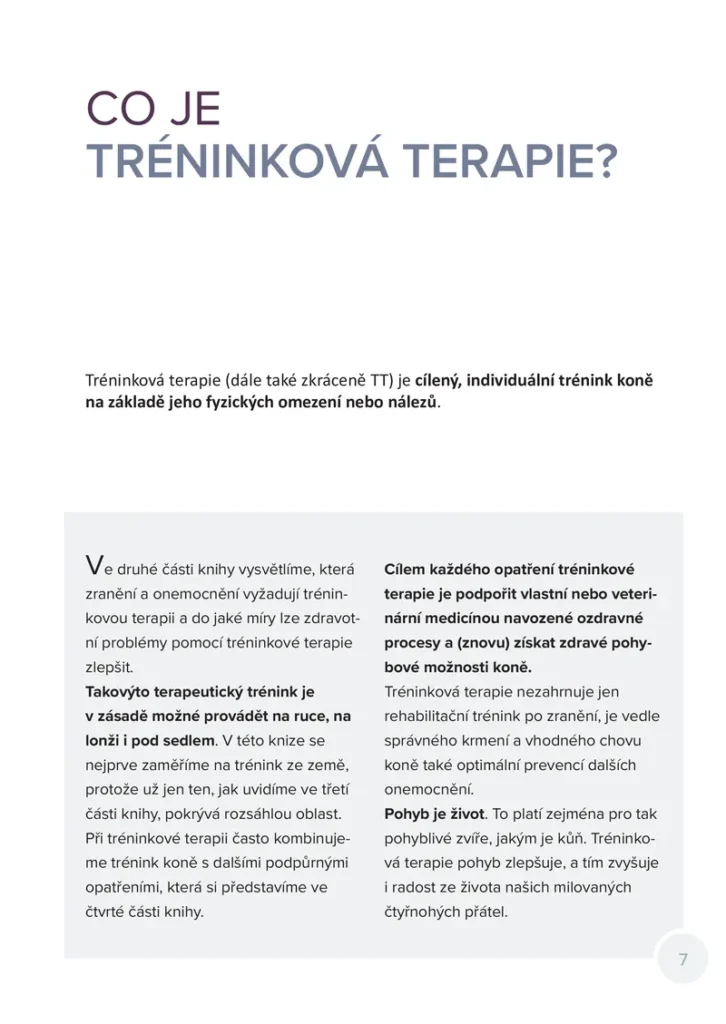 Tréninková terapie