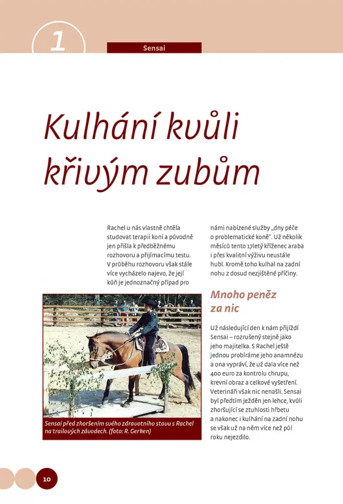 Když koně mají problémy