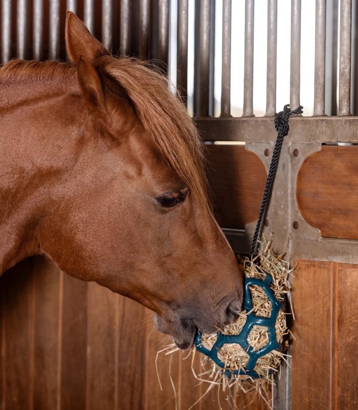 Závěšný míček Hay ball 