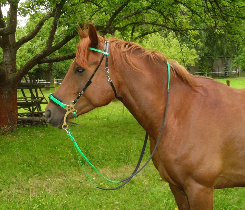 Uzdečka Hackamore Biothane