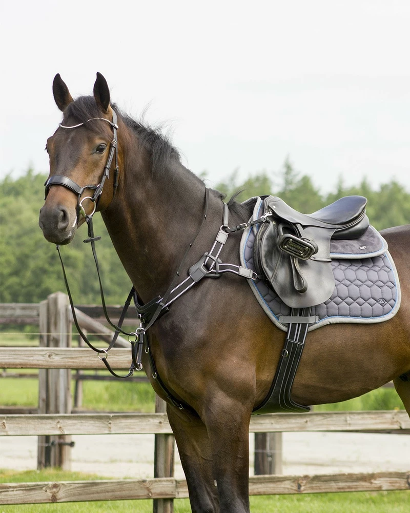 Poprsník Sedna QHP kolekce Q-CROSS