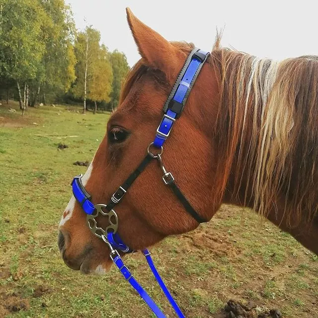 Hackamore uzdečka Biothane Soft bez ramen