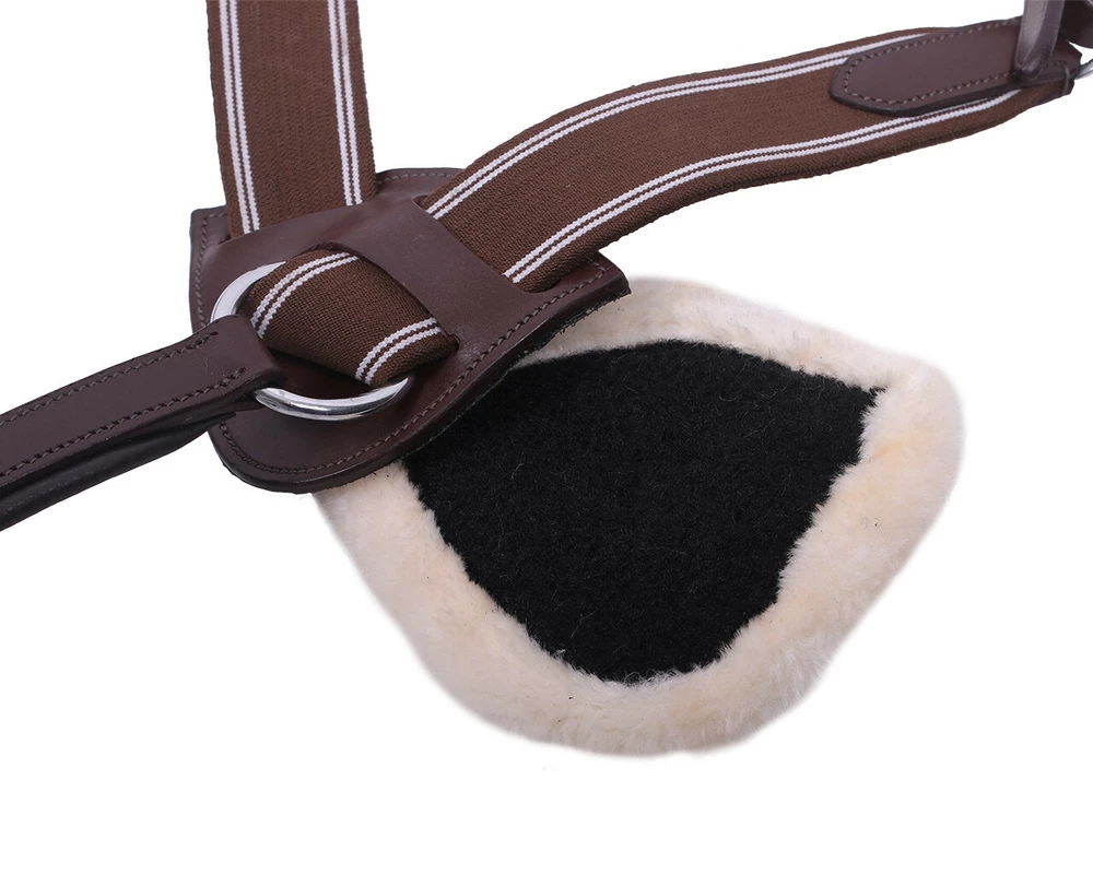 5ti bodový poprsník Ontario