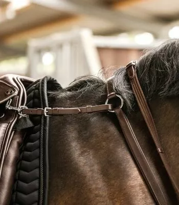 Poprsník Waldhausen X-Line 