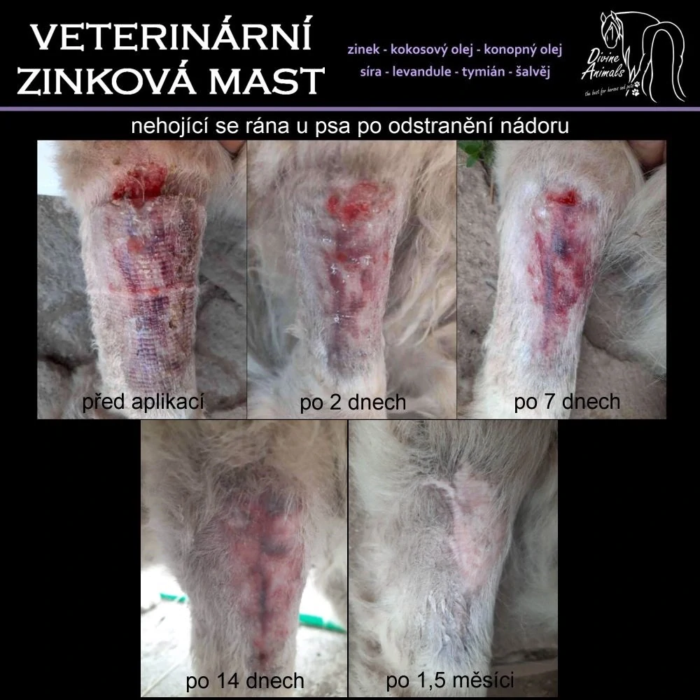 Veterinární zinková mast Divine 1000ml