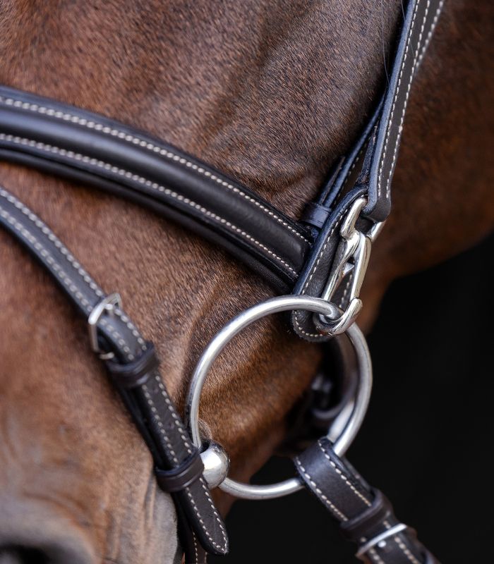 Uzdečka Waldhausen X-Line Work 