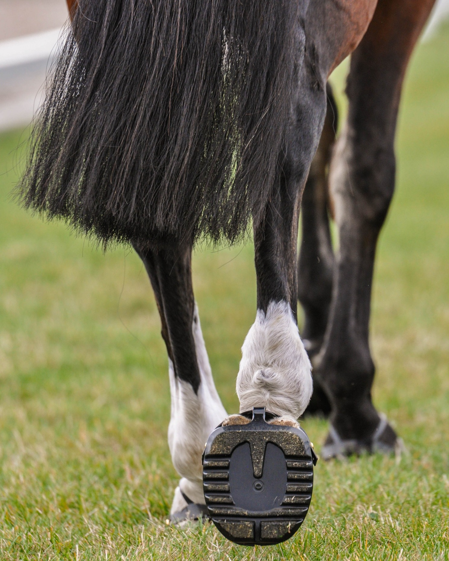 Boty pro koně Scootboot TheraRide 2 ks