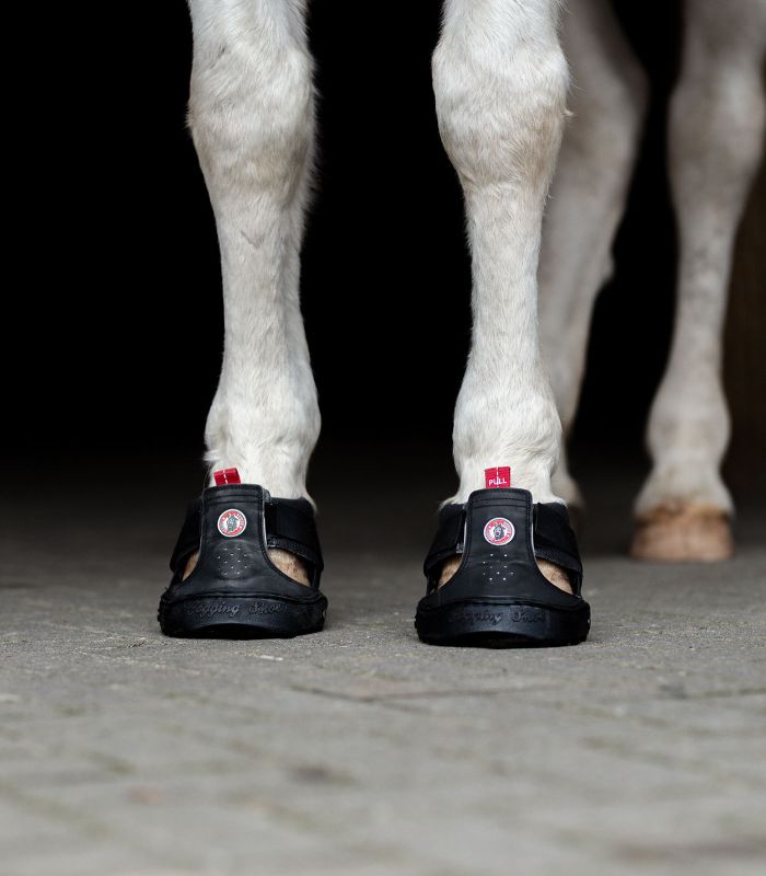 Boty pro koně Equine Fusion® Slim 1ks