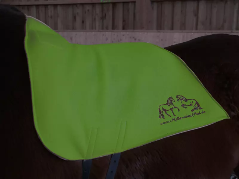 Filzsattel filcový pad Standard