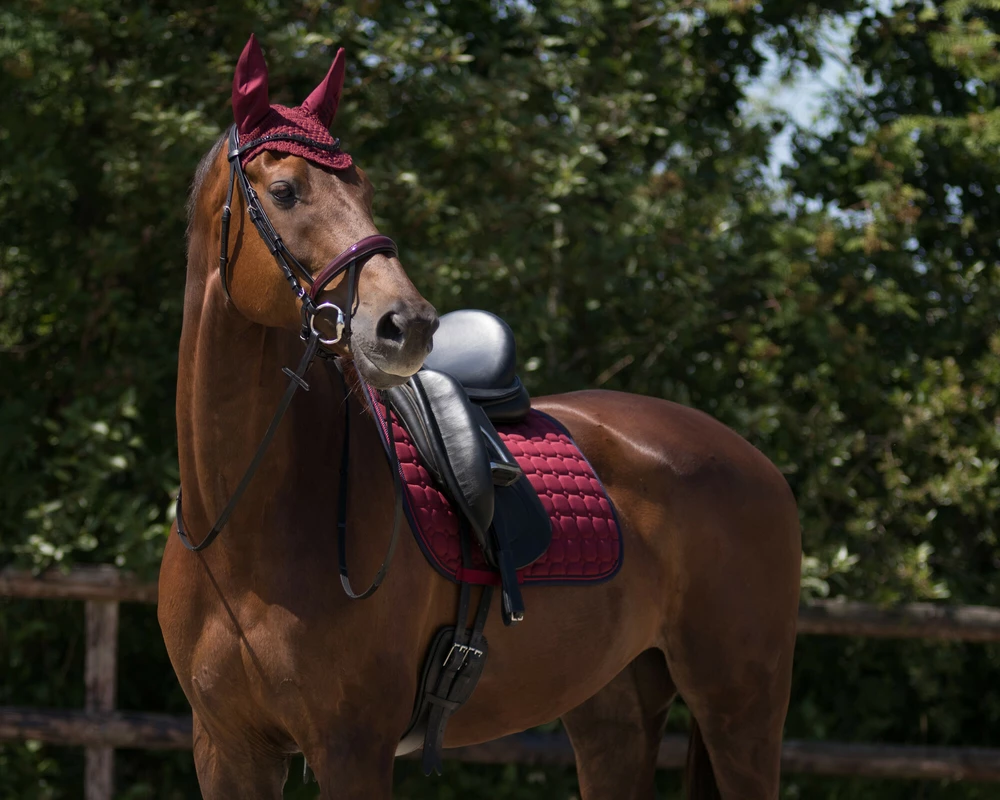 Podsedlová dečka Florence