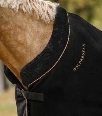 Odpocovací deka Modern Rose 