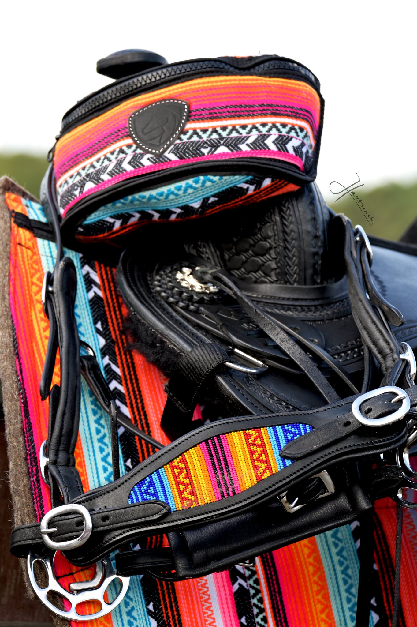 Hackamore uzdečka Edix Brightstar