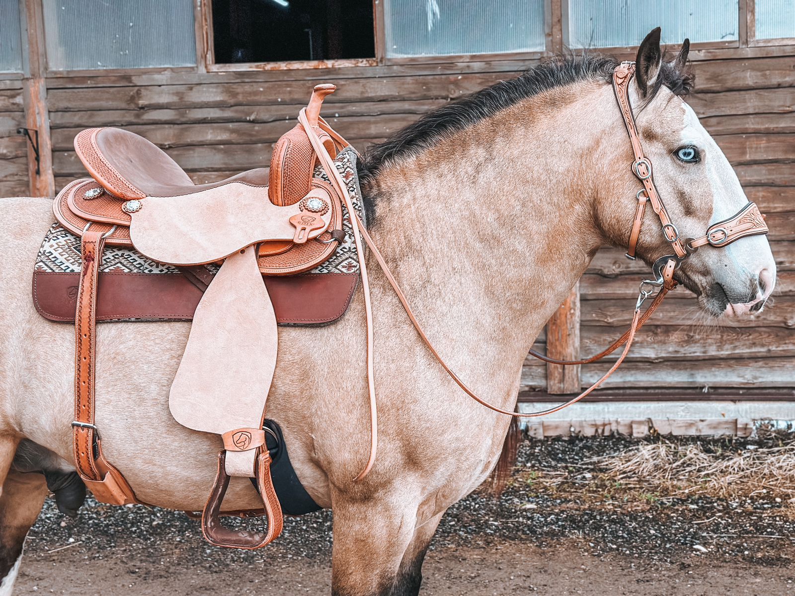 Uzdečka Edix Rose na hackamore, bosal či udidlo