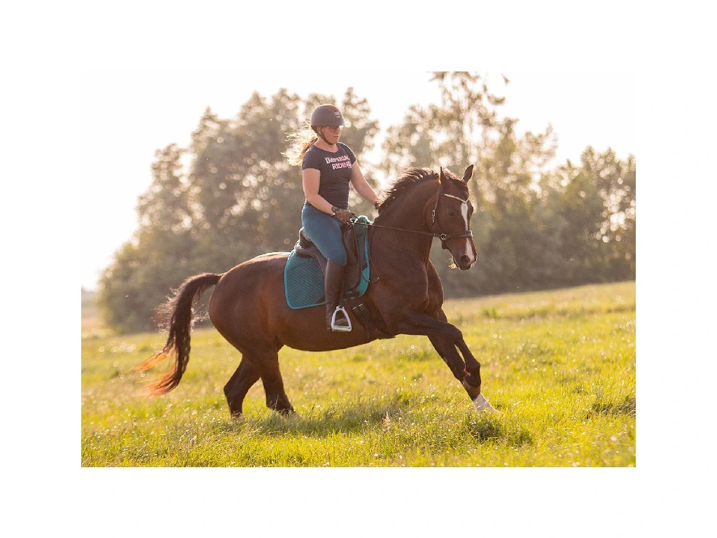 Kožený pad Edix Union