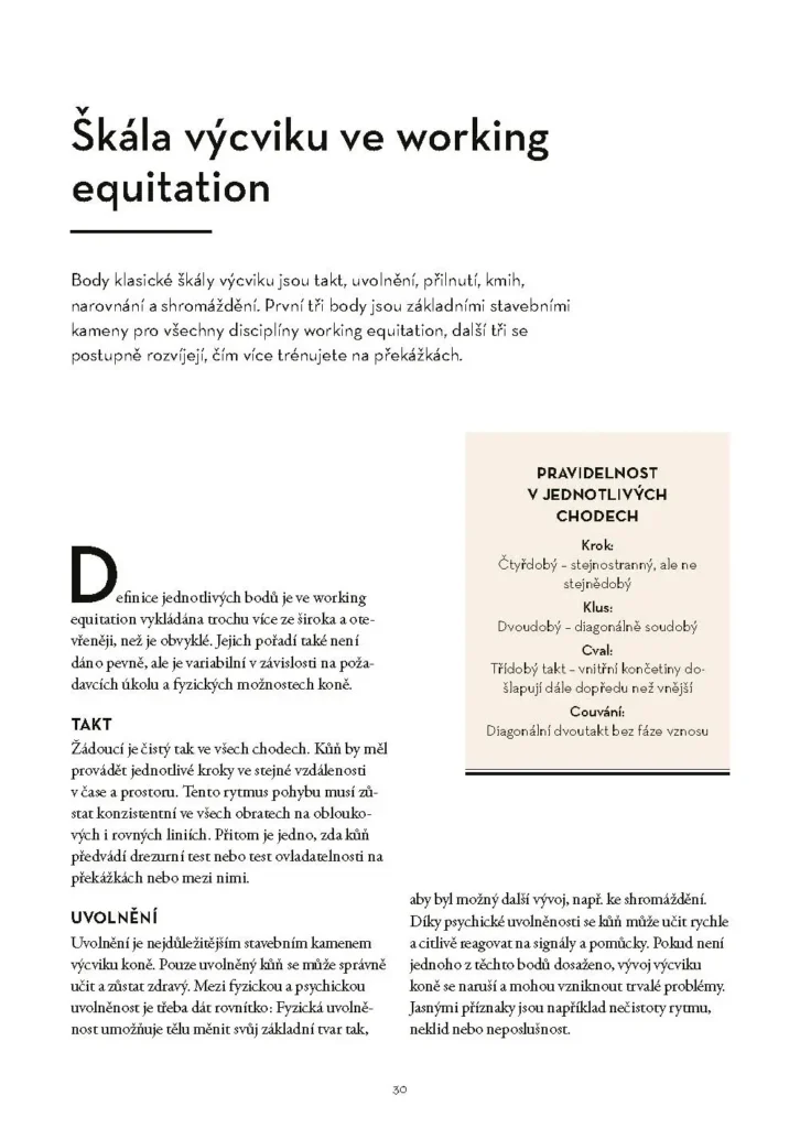 Working Equitation