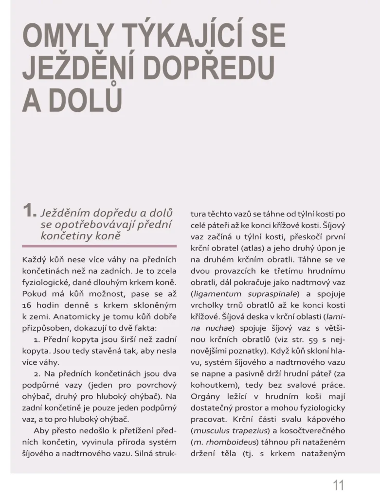50 nejčastějších omylů při výcviku koní