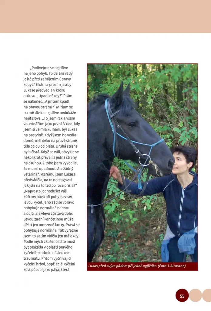 Když koně mají problémy