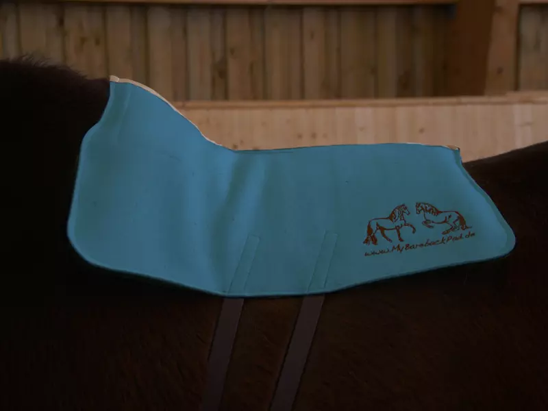 Filzsattel filcový pad Standard