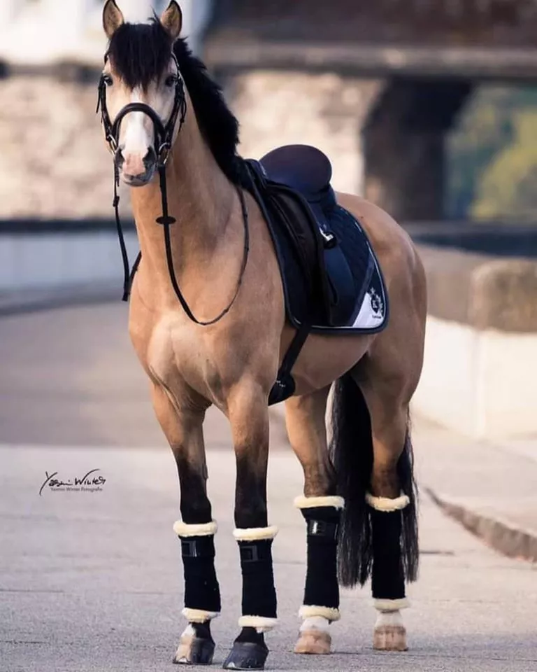 Podložky pod bandáže Kavalkade s beránkem