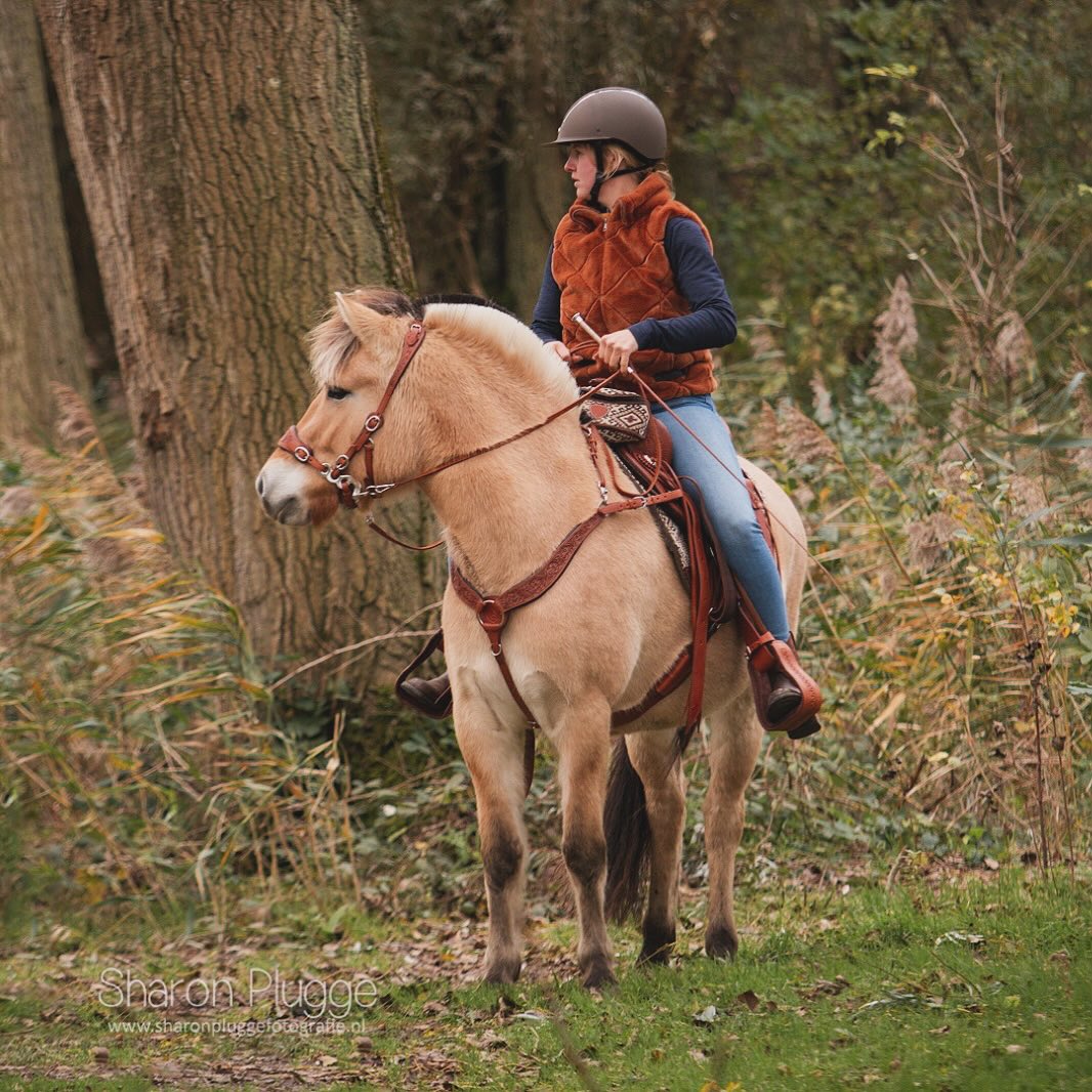 Uzdečka Edix Rose na hackamore, bosal či udidlo