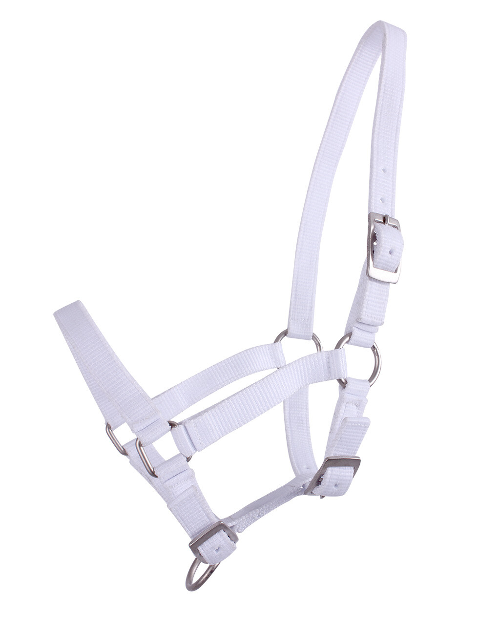 Hříběcí nylonová ohlávka QHP