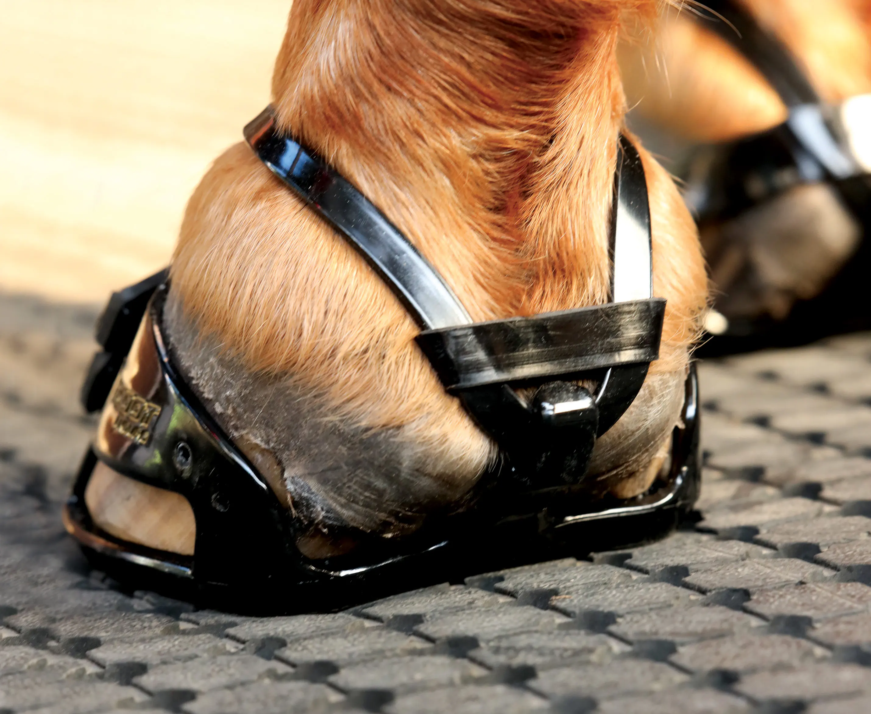 Boty bro koně Scootboot Adjust (Enduro) - 2kusy