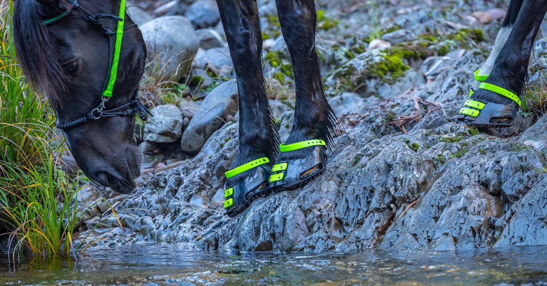 Boty pro koně Scootboot Classic pár
