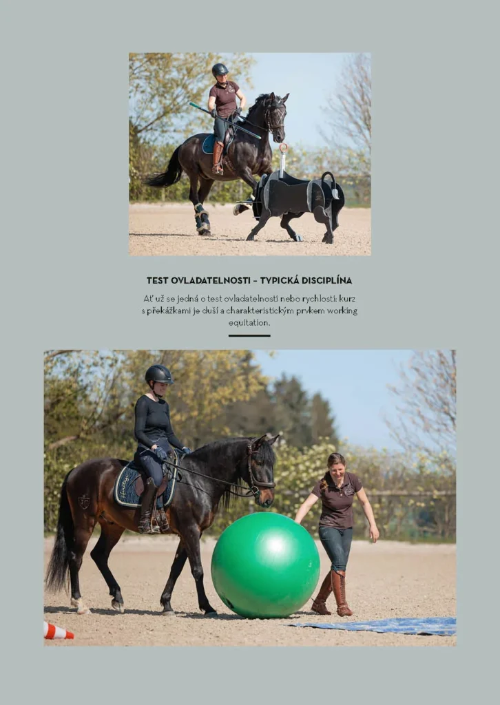Working Equitation