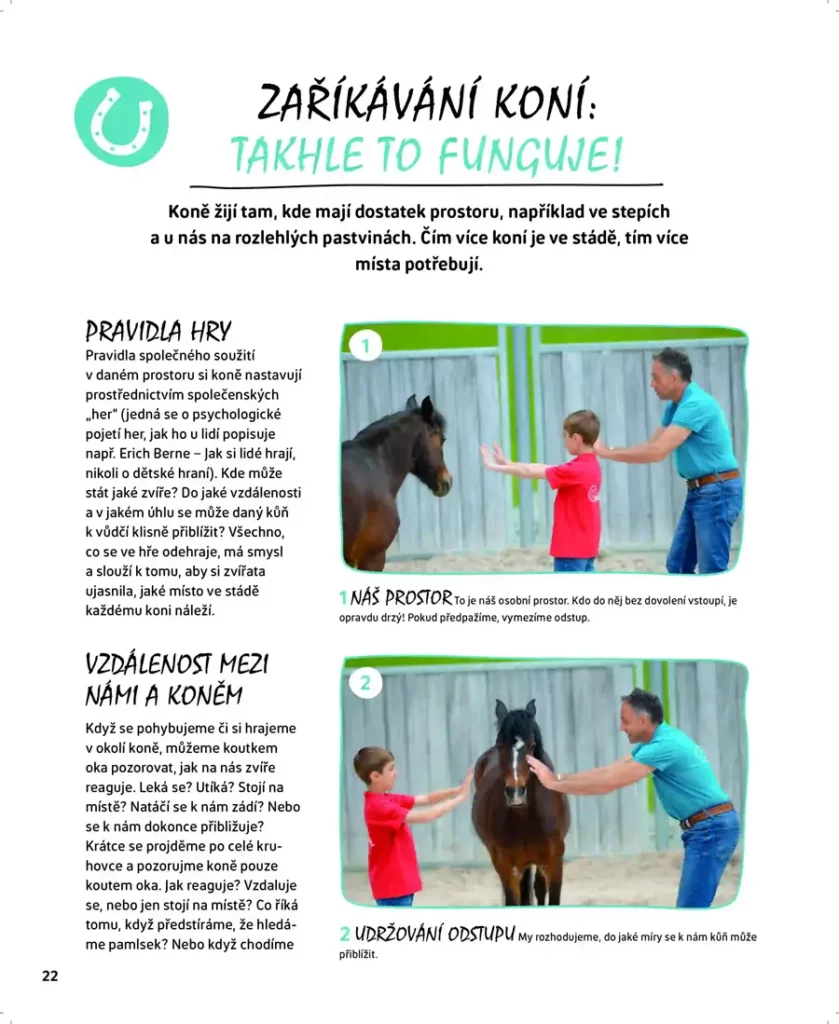 Jak se dorozumět s koněm