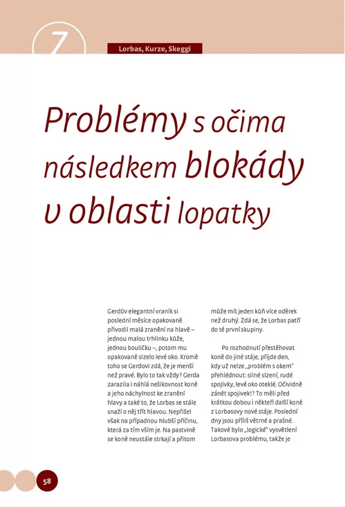 Když koně mají problémy