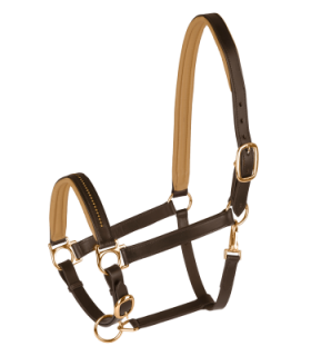 Kožená ohlávka Diamond Star- více barev