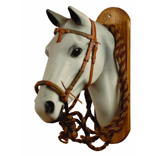 POOL'S bosal set 